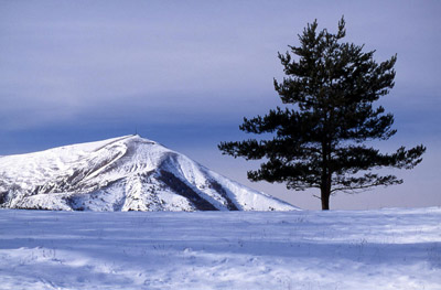 Les Alpes par Max Tranchard 1