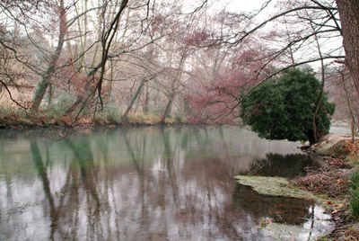 La Provence par Max Tranchard Photo 4