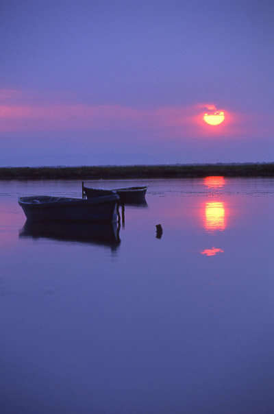 La Provence par Max Tranchard photo 2