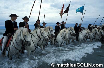 Matthieu Colin 07