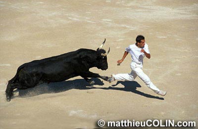 Matthieu Colin 08
