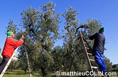 Matthieu Colin 09