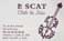 Le Scat Club